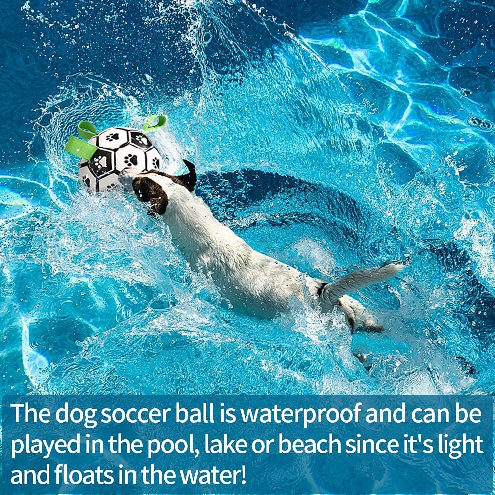 Interactive Dog Football Toy Soccer Inflated Training Toy For Dogs Outdoor Border Pet Supplies